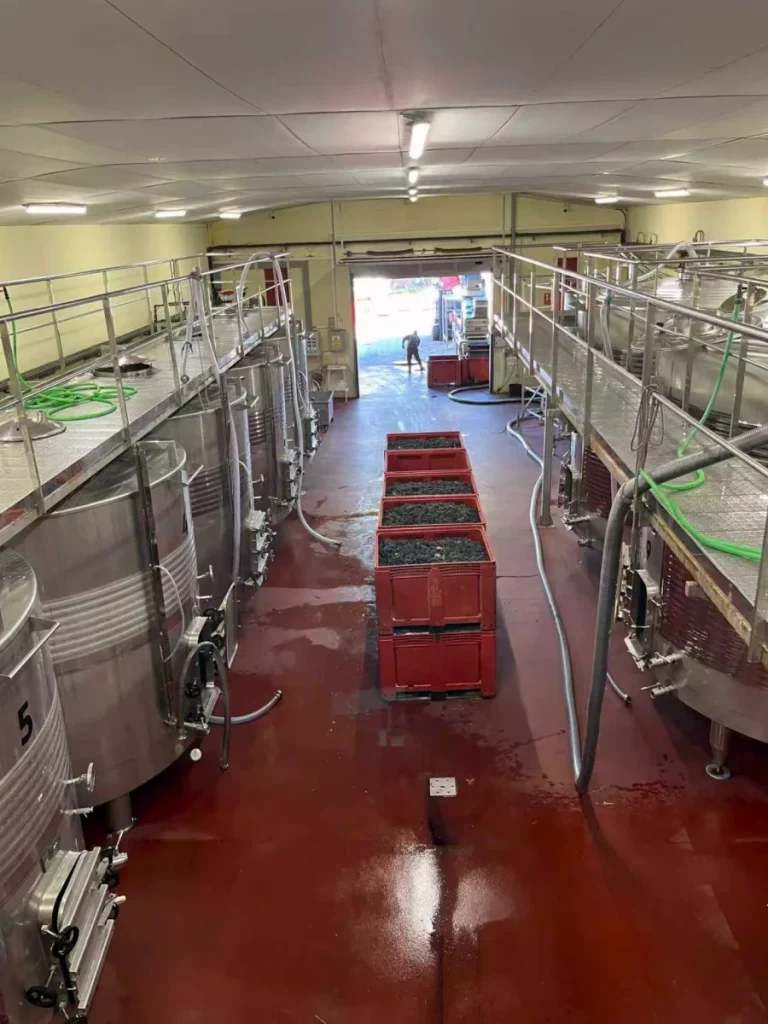 Maquinaria de bodega